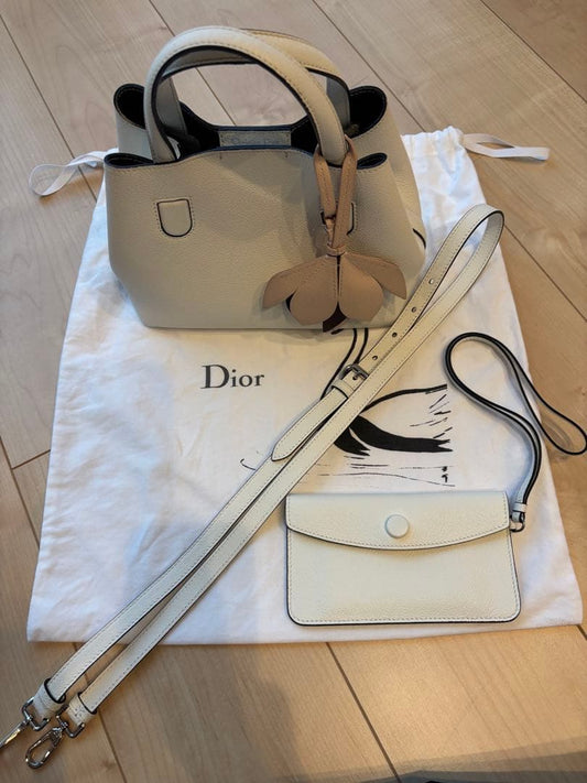 Dior Blossom Small Bag Japan Limited 2016 Rare Piece #QY312A