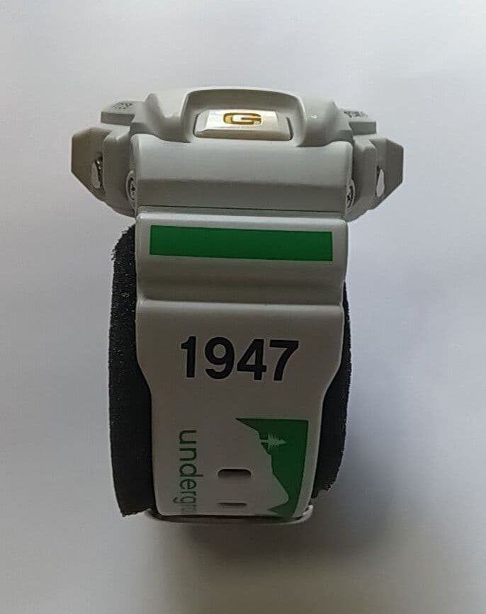 LRG G-SHOCK Panda DW-6900FSLRG-8CR #QYAYHP