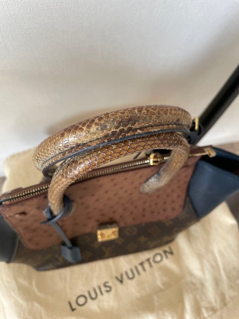 LOUIS VUITTON Exotic Tote Handbag #QY7JFE