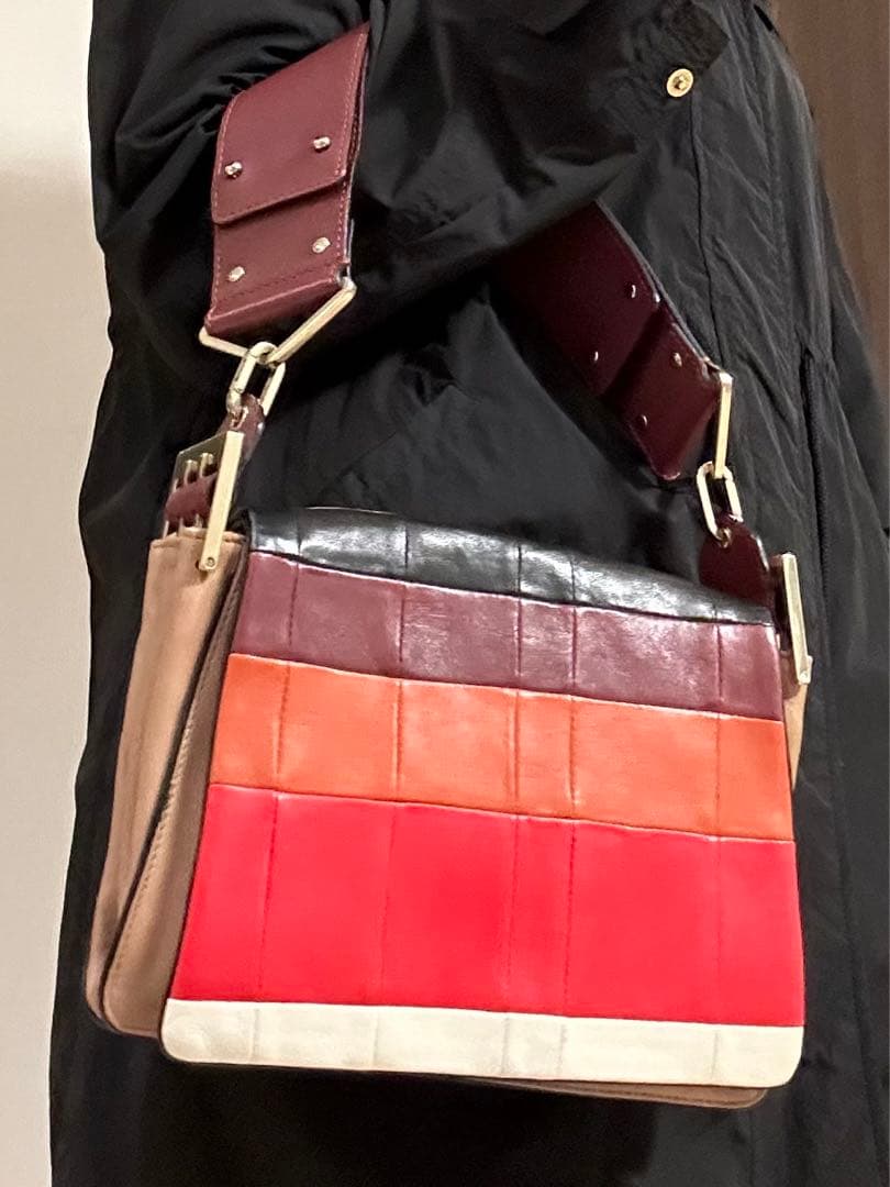 CHLOE SS2012 Limited Clutch Handbag Exhibition Piece Rare #QYDZTZ