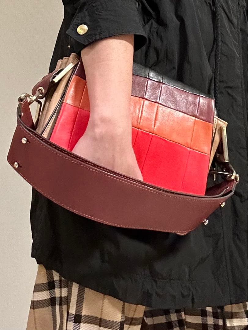 CHLOE SS2012 Limited Clutch Handbag Exhibition Piece Rare #QYDZTZ