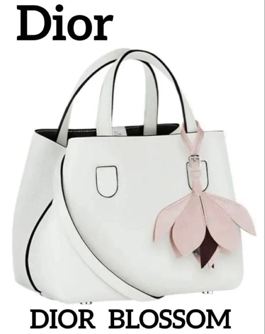 Dior Blossom Small Bag Japan Limited 2016 Rare Piece #QY312A