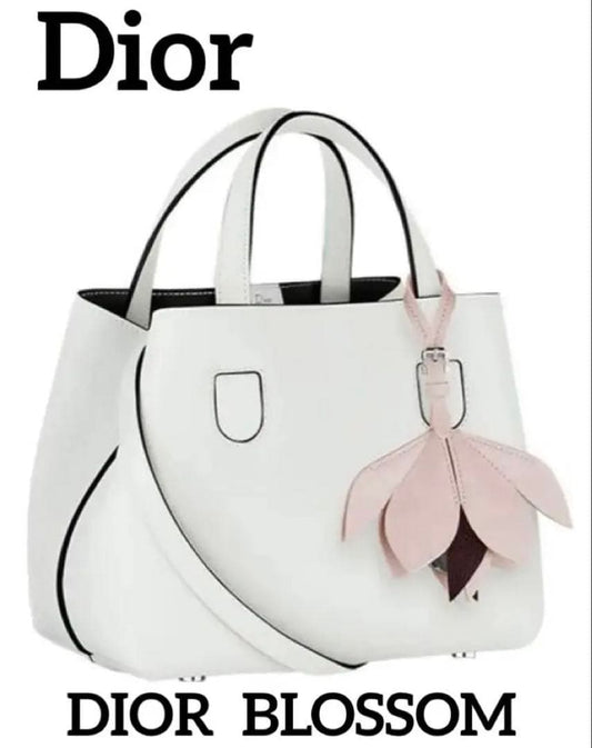 Dior Blossom Small Bag Japan Limited 2016 Rare Piece #QY312A