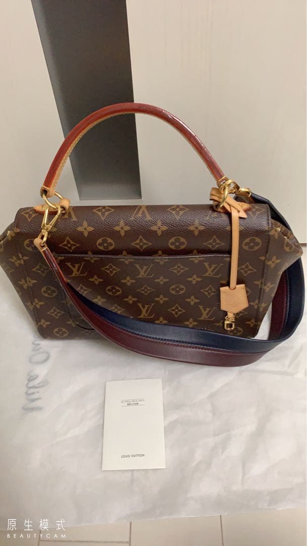 LOUIS VUITTON Cluny MM Handbag #QYE5TQ