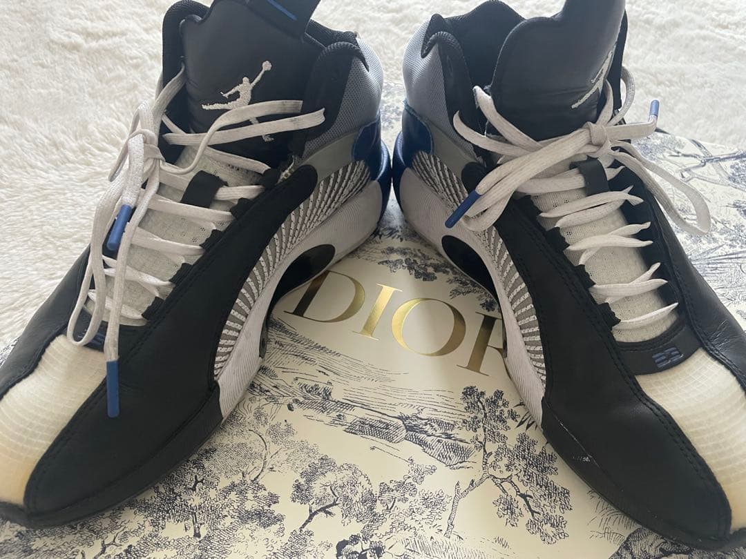 Jordan sneakers in black, white, gray, and blue #PGL7XB