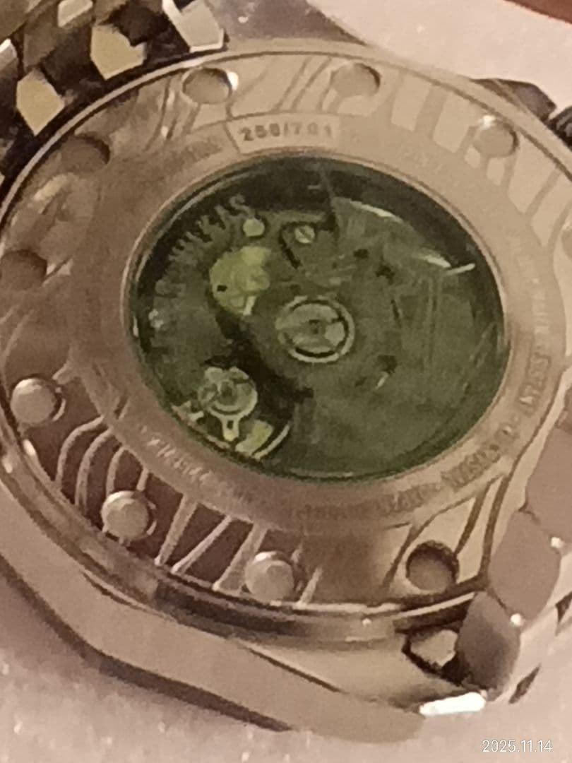 Vostok European Iron Wolf Winding Watch #QY25HM