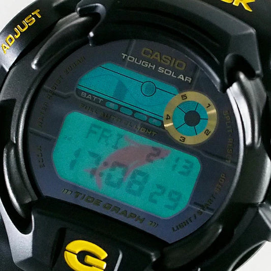 CASIO CASIO G-Shock DW-9701-9DR 4th International Dolphin and Whale Conf #QYDIA7