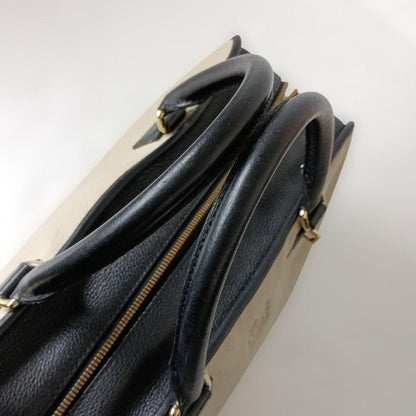 Amazona 36 Loewe #QYC1LR