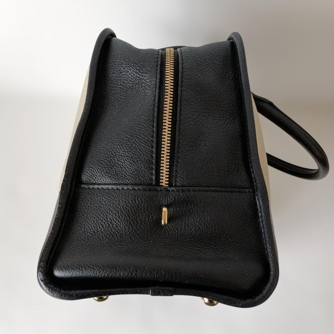 Amazona 36 Loewe #QYC1LR