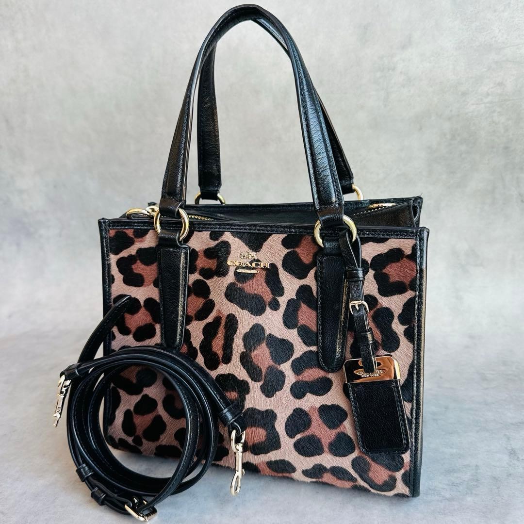 Y2K COACH Harako Leopard 2way Bag #QY7AY4