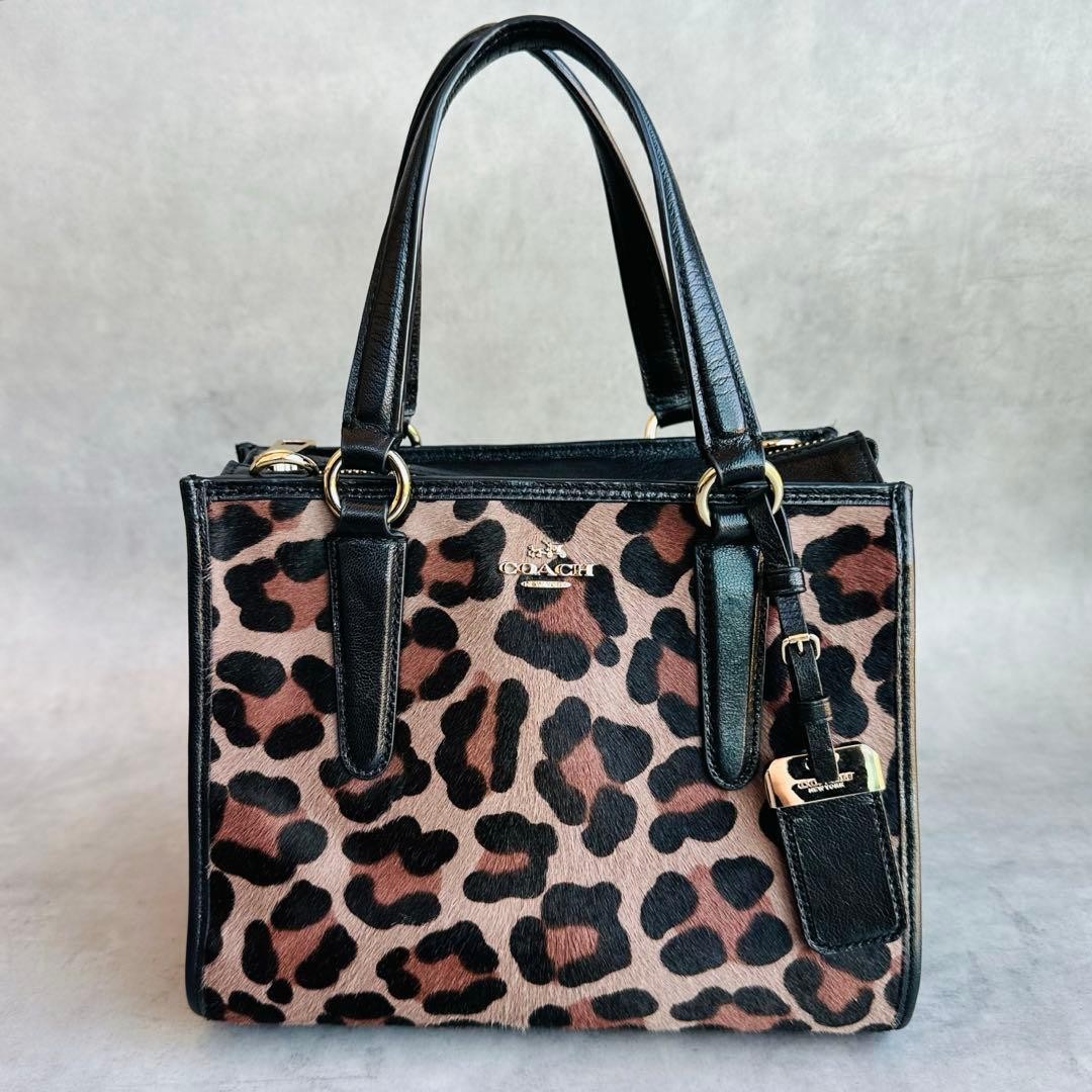 Y2K COACH Harako Leopard 2way Bag #QY7AY4