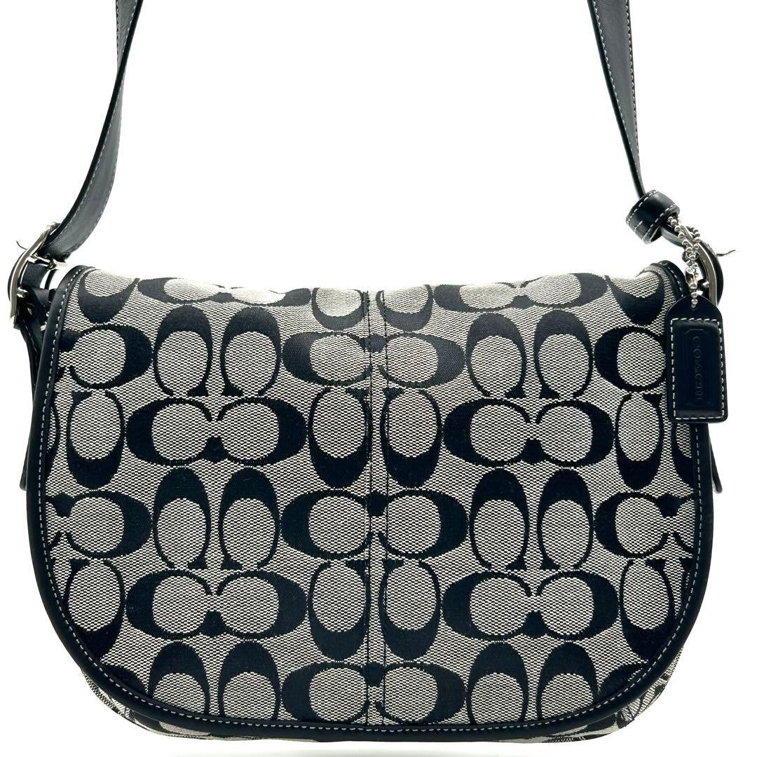 COACH 6842 Y2K archive Signature One-Shoulder Bag #QY1IEZ