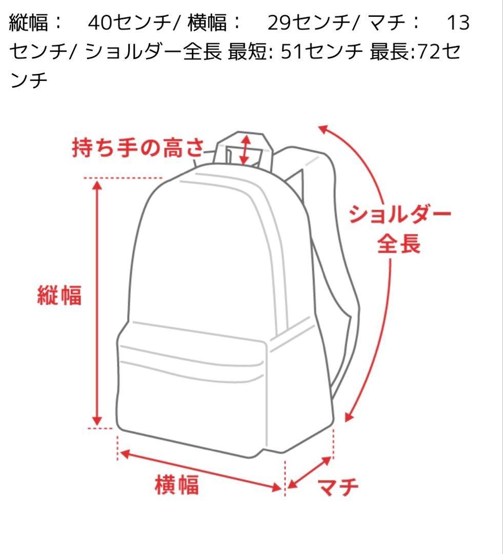 LOUIS VUITTON Everyday Backpack Monogram IC Chip Authentic #QYAXRF