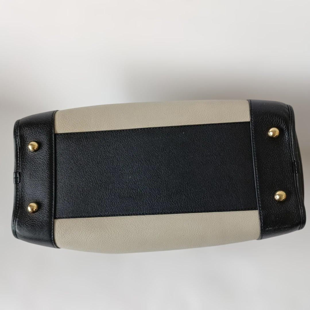 Amazona 36 Loewe #QYC1LR