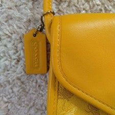 Old Coach Mini Pouch #QYBDQY