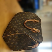 Louis Vuitton Monogram Speedy 30 Handbag #QY56HJ