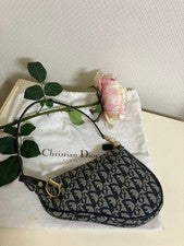 DIOR Saddle Trotter Handbag & Coin Purse Set #QYFHHE