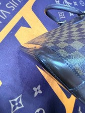 Louis Vuitton Damier Ebene Alma PM #QYAK45
