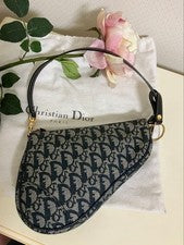 DIOR Saddle Trotter Handbag & Coin Purse Set #QYFHHE
